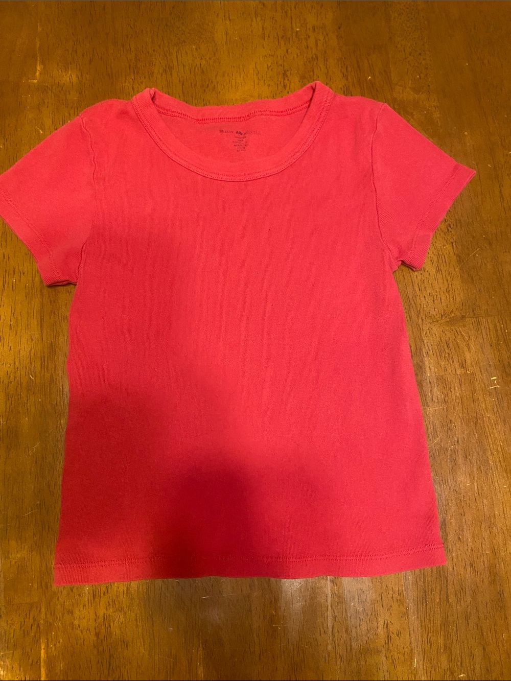 Brandy Melville Short Sleeve Crew Tee